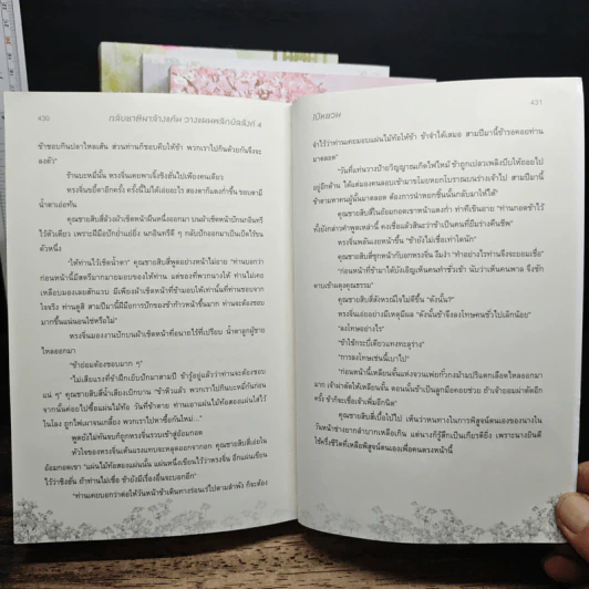 กลับชาติมาล้างแค้น วางแผนพลิกบัลลังก์ 4 เล่มจบ - Bai Yuan รูปที่ 9