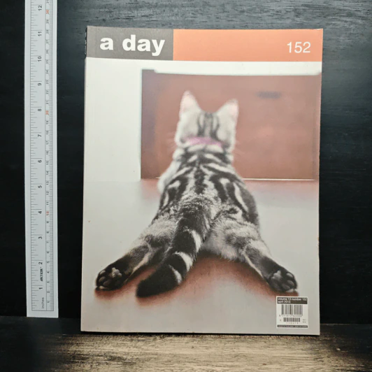 a day 152 แมว รูปที่ 1