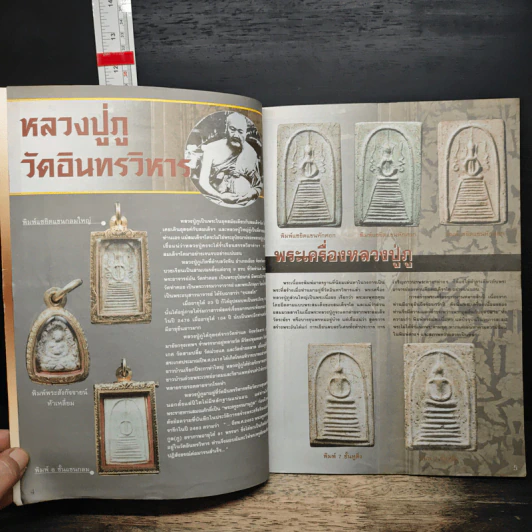 หลวงปู่ภู วัดอินทร์ รูปที่ 6