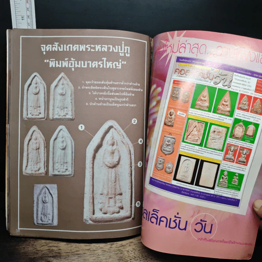 หลวงปู่ภู วัดอินทร์ รูปที่ 8