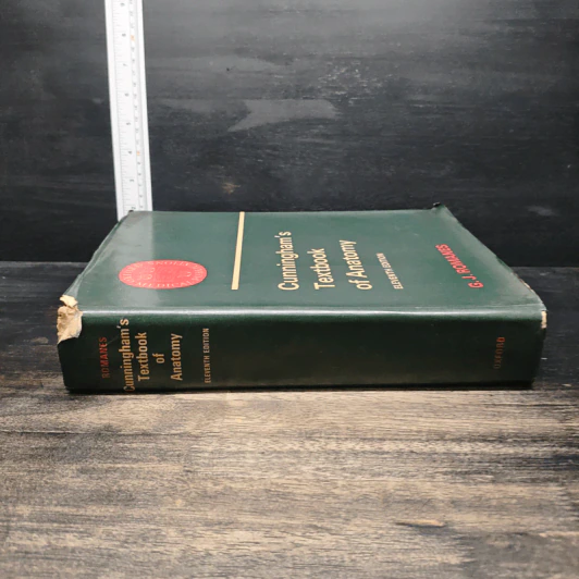 Cunningham's Textbook of Anatomy - G. J. Romanes รูปที่ 3