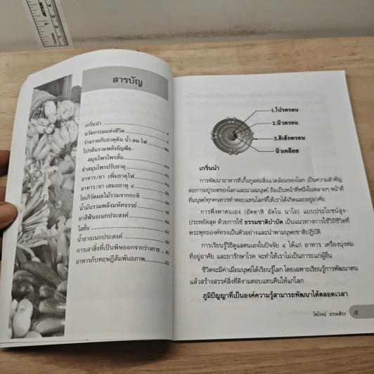 กิน-อยู่ เพื่อชีวิตและสิ่งแวดล้อมที่ดีกว่า เล่ม 2 - ไพโรจน์ อรรคสีวร รูปที่ 7