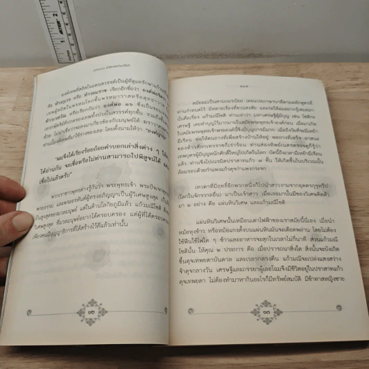 องค์ญาณ อภินิหารแก้วมณีโชติ - สันยาสี รูปที่ 8
