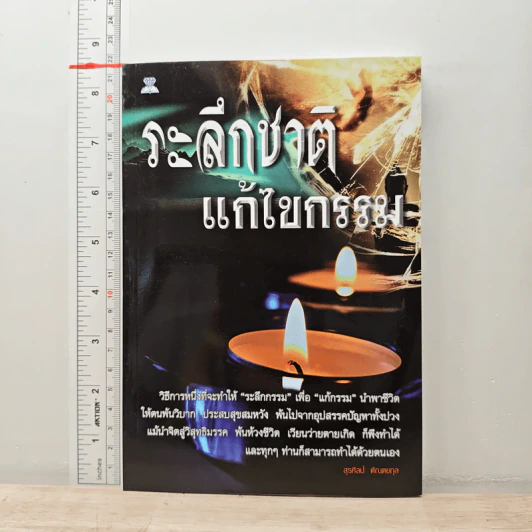 ระลึกชาติ แก้ไขกรรม - สุรศิลป์ ตัณตยกุล รูปที่ 1