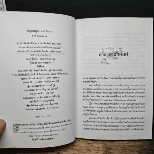 ปลูกสมุนไพรใช้เอง - ยุวดี จอมพิทักษ์ รูปที่ 6