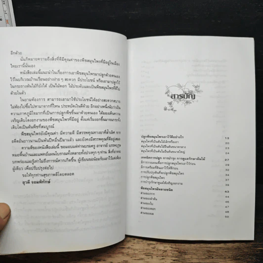 ปลูกสมุนไพรใช้เอง - ยุวดี จอมพิทักษ์ รูปที่ 7