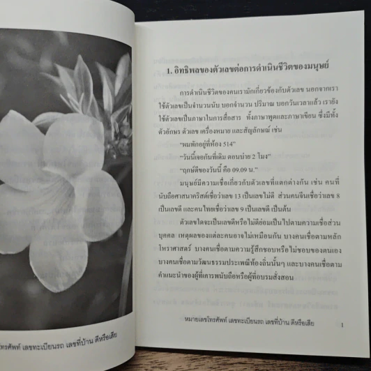 คู่มือการเลือกเลขดี แก้ไขเลขเสีย หมายเลขโทรศัพท์ เลขทะเบียนรถ เลขที่บ้านดีหรือเสีย - อาจารย์นันทณัฏฐ์ ณัทธนาญาณอรท์ รูปที่ 8