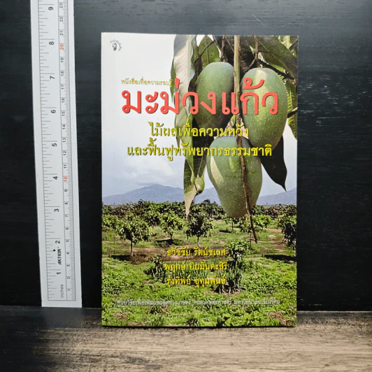 มะม่วงแก้ว - ธวัชชัย รัตนชเลศ รูปที่ 1
