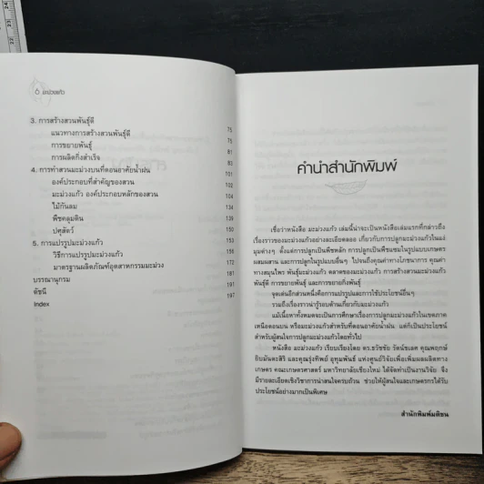มะม่วงแก้ว - ธวัชชัย รัตนชเลศ รูปที่ 7