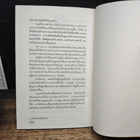 10 วันในสวนโมกข์นานาชาติ รูปที่ 8