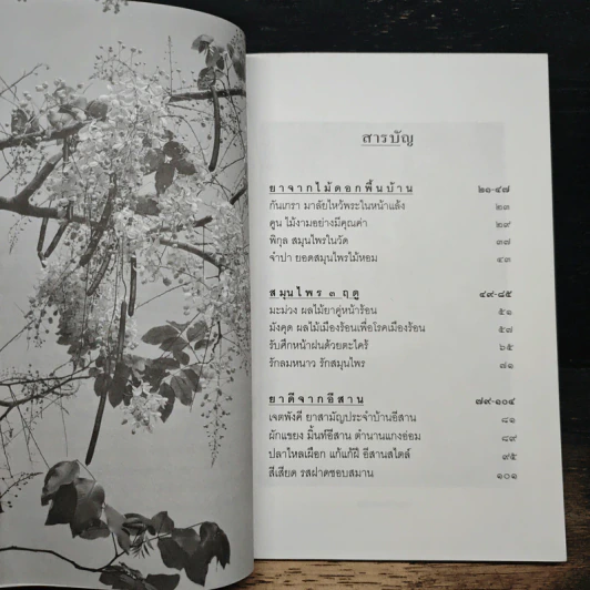 สุขภาพดีด้วยสมุนไพรใกล้ตัว ชุด 9 รูปที่ 7