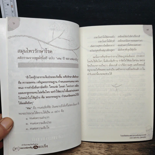 ตำรับยาสมุนไพรในย่าม ยา หลวงพ่อจรัญกันมะเร็ง รูปที่ 7