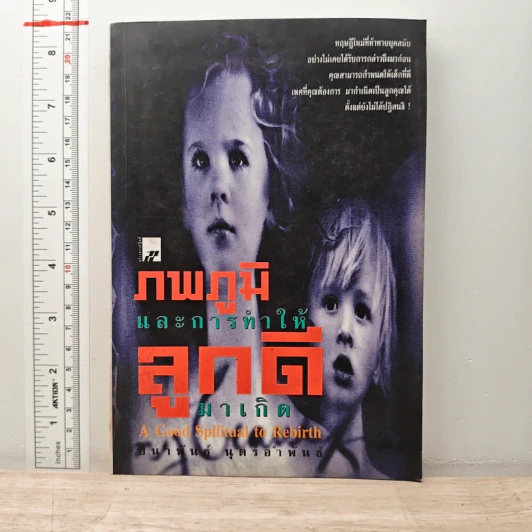 ภพภูมิและการทำให้ลูกดีมาเกิด - ปนาพันธ์ นุตร์อำพันธ์ รูปที่ 1