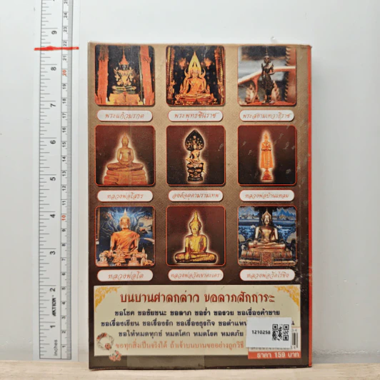 บนบานศาลกล่าว - หมอไพศาล ซอยพิบูลเวศม์ รูปที่ 4