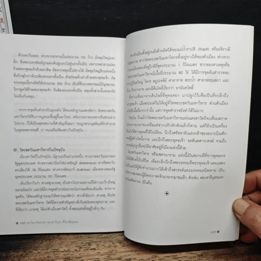 พระโมคคัลลานะ พระสารีบุตร ชีวิตเพื่อพุทธะ - ปภสุสโร รูปที่ 9