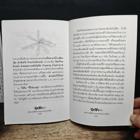 สุขภาพดีด้วยสมุนไพรใกล้ตัว ชุด 10 รูปที่ 9