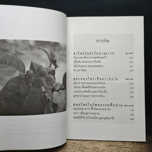 สุขภาพดีด้วยสมุนไพรใกล้ตัว ชุด 10 รูปที่ 7
