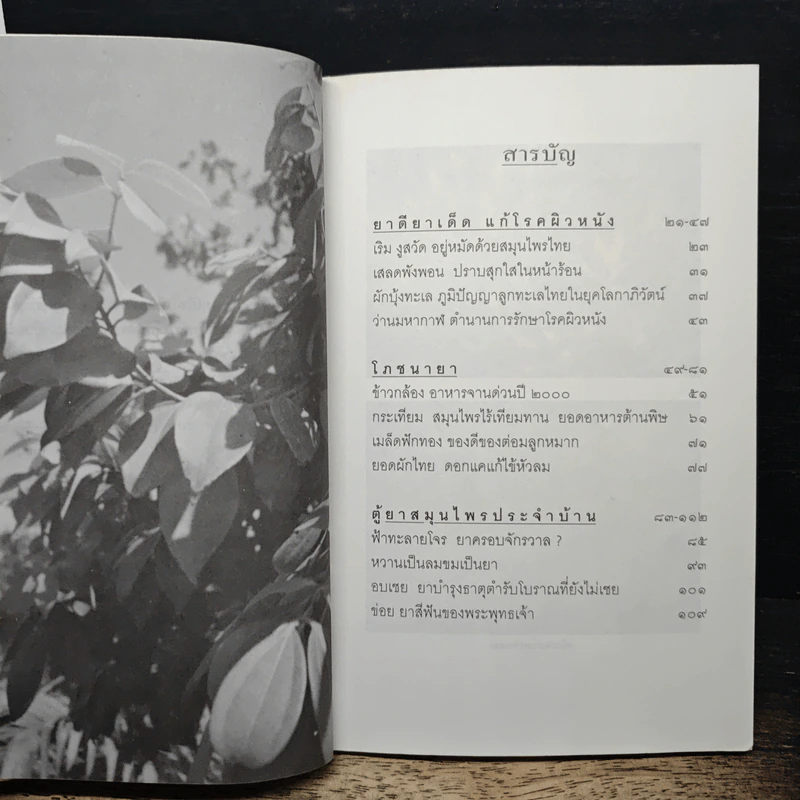 สุขภาพดีด้วยสมุนไพรใกล้ตัว ชุด 7 รูปที่ 7