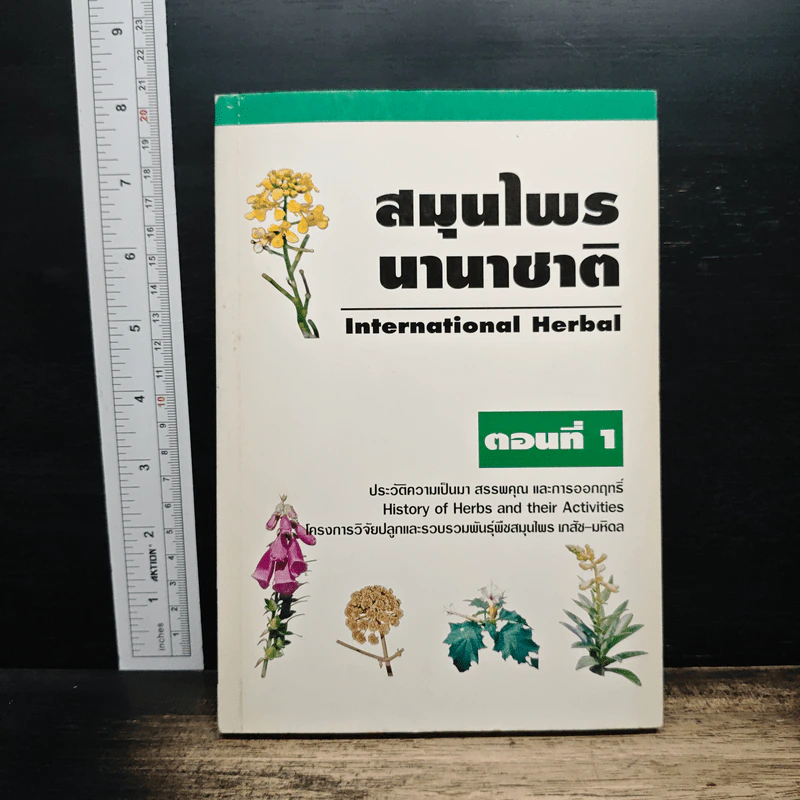 สมุนไพรนานาชาติ ตอนที่ 1 ประวัติความเป็นมา สรรพคุณ และการออกฤทธิ์ รูปที่ 1