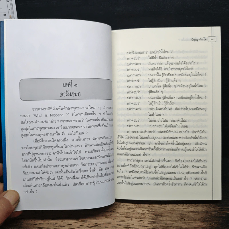 นิพพานนั้นเป็นฉันใด? - ปัญญานันโท รูปที่ 11