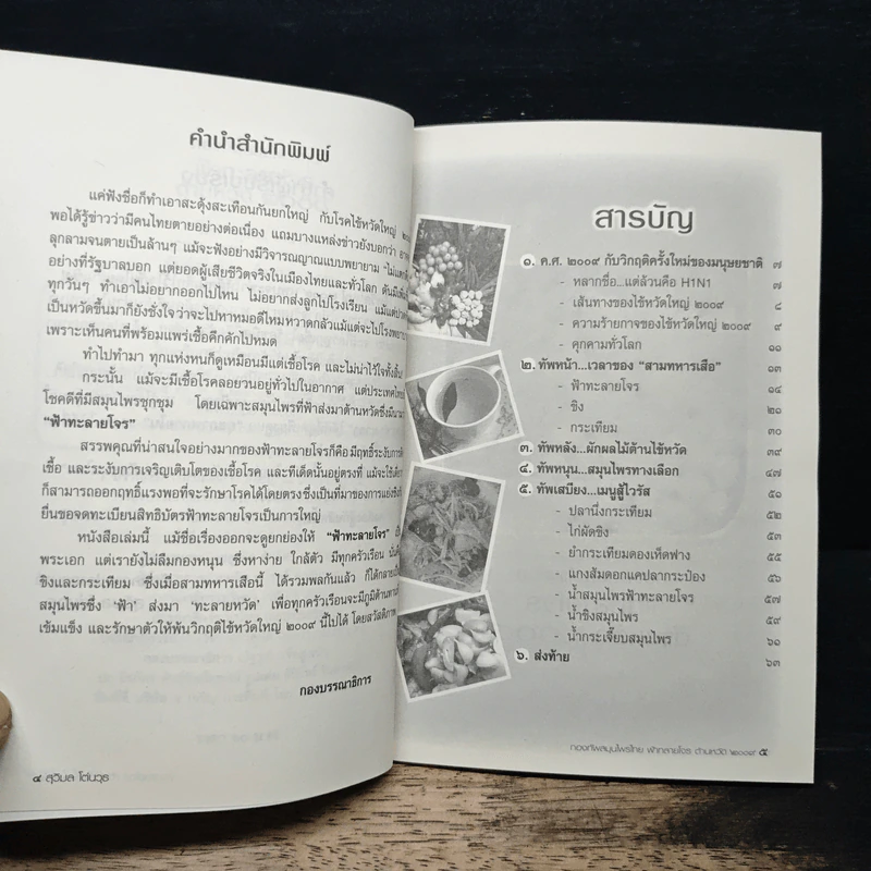 กองทัพสมุนไพรไทย ฟ้าทะลายโจร ต้านหวัด 2009 - สุวิมล โต่นวุธ รูปที่ 7