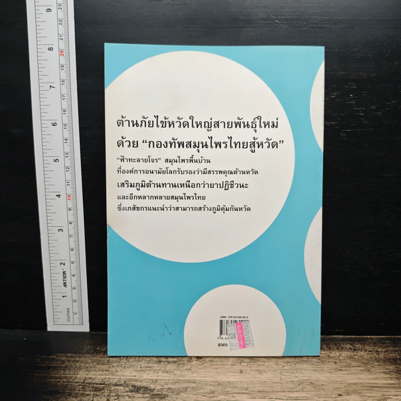 กองทัพสมุนไพรไทย ฟ้าทะลายโจร ต้านหวัด 2009 - สุวิมล โต่นวุธ รูปที่ 2