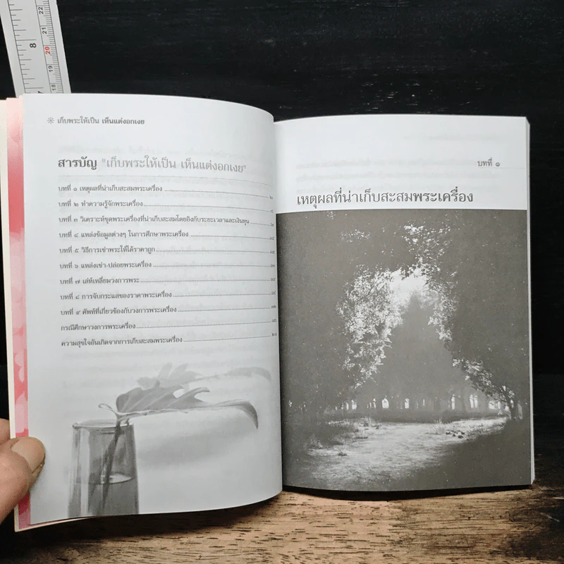 เก็บพระให้เป็น เห็นแต่งอกเงย - ษรวัฒน์ รูปที่ 9