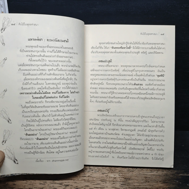 ต้นไม้ในพุทธศาสนา - อุดม เชยกีวงศ์ รูปที่ 7