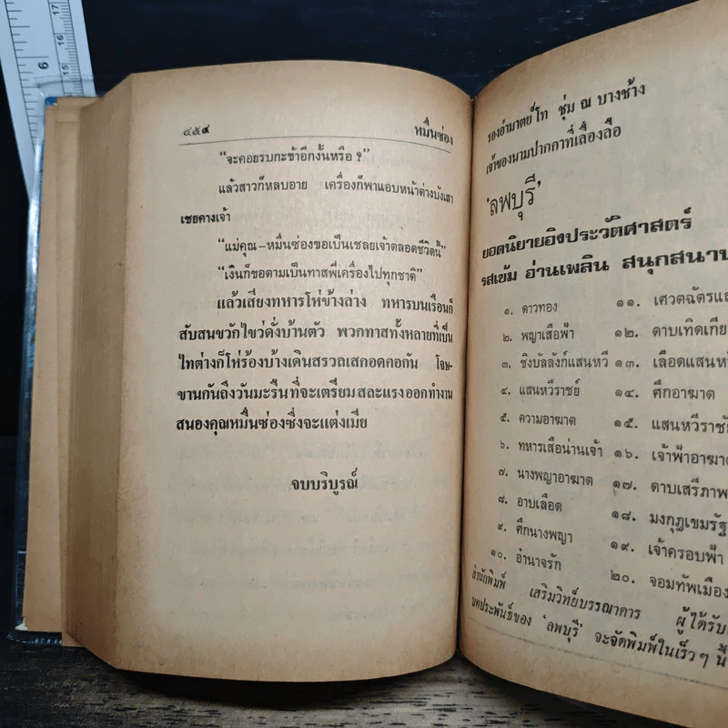 เสือทุ่ง หมื่นซ่อง - ไม้ เมืองเดิม รูปที่ 8