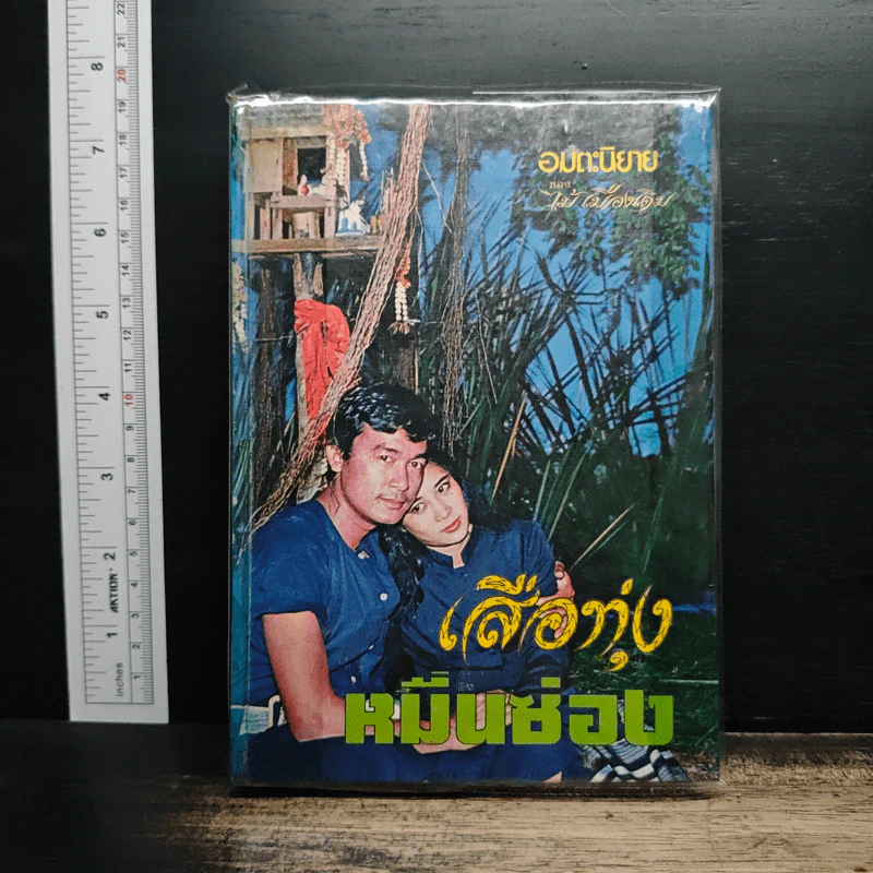 เสือทุ่ง หมื่นซ่อง - ไม้ เมืองเดิม รูปที่ 1