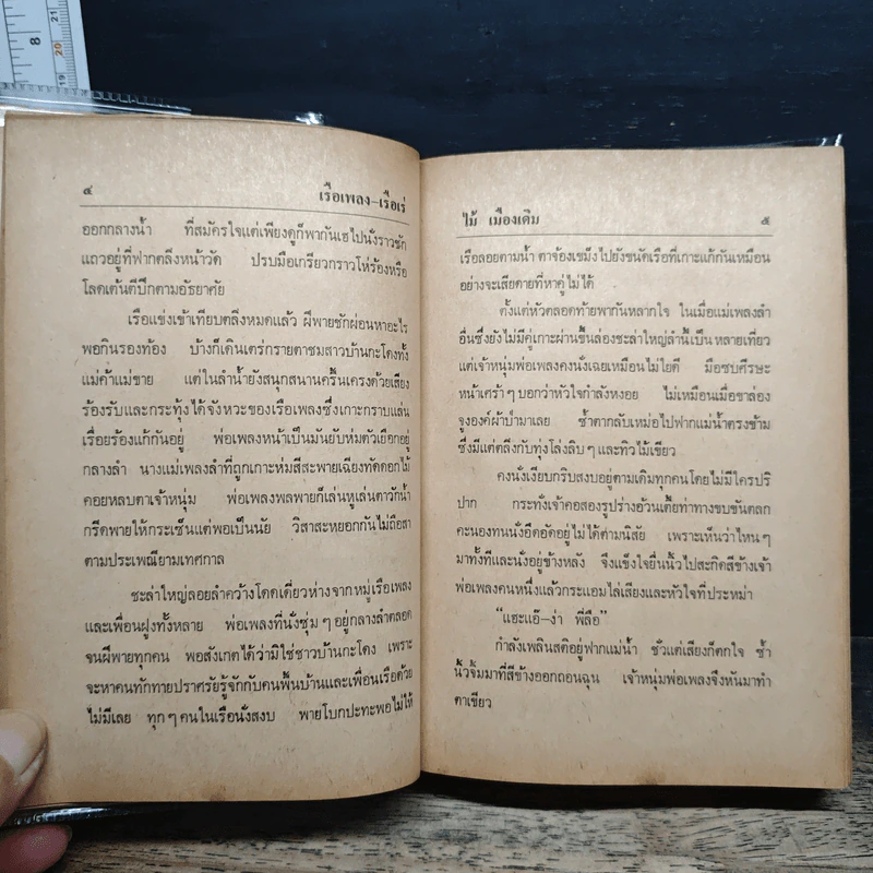 เรือเพลงเรือเร่ โป๊ะล่ม - ไม้ เมืองเดิม รูปที่ 9