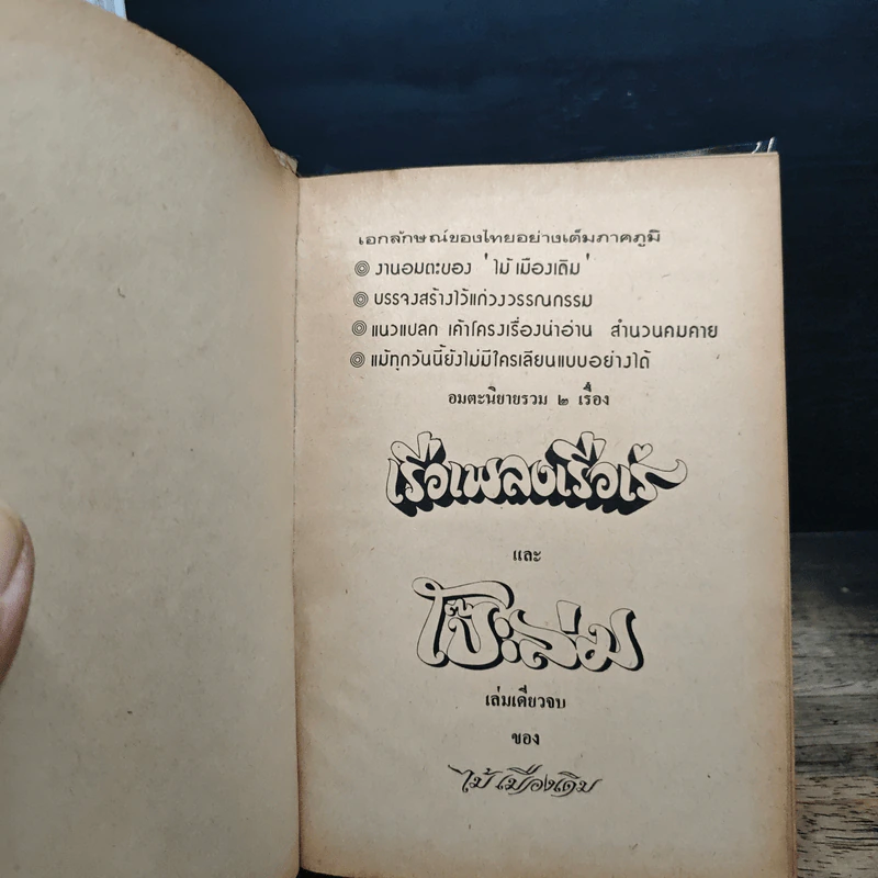 เรือเพลงเรือเร่ โป๊ะล่ม - ไม้ เมืองเดิม รูปที่ 6