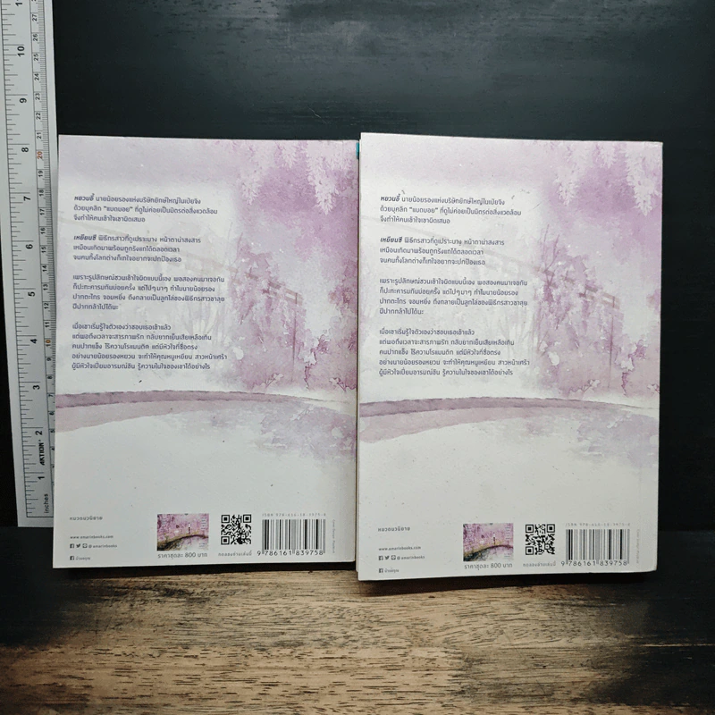 ขอโทษทีไม่ได้คบใครที่หน้าตา 2 เล่มจบ - Yue Xia Die Ying (เย่ว์เซี่ยเตี๋ยอิ่ง) รูปที่ 2