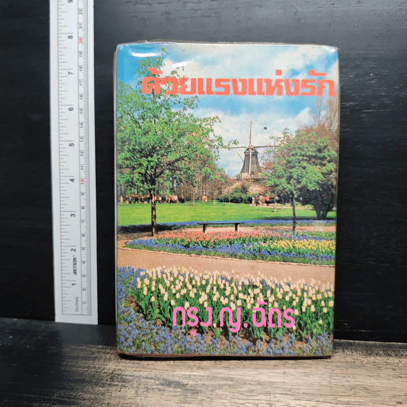 ด้วยแรงแห่งรัก - กรุง ญ.ฉัตร รูปที่ 1