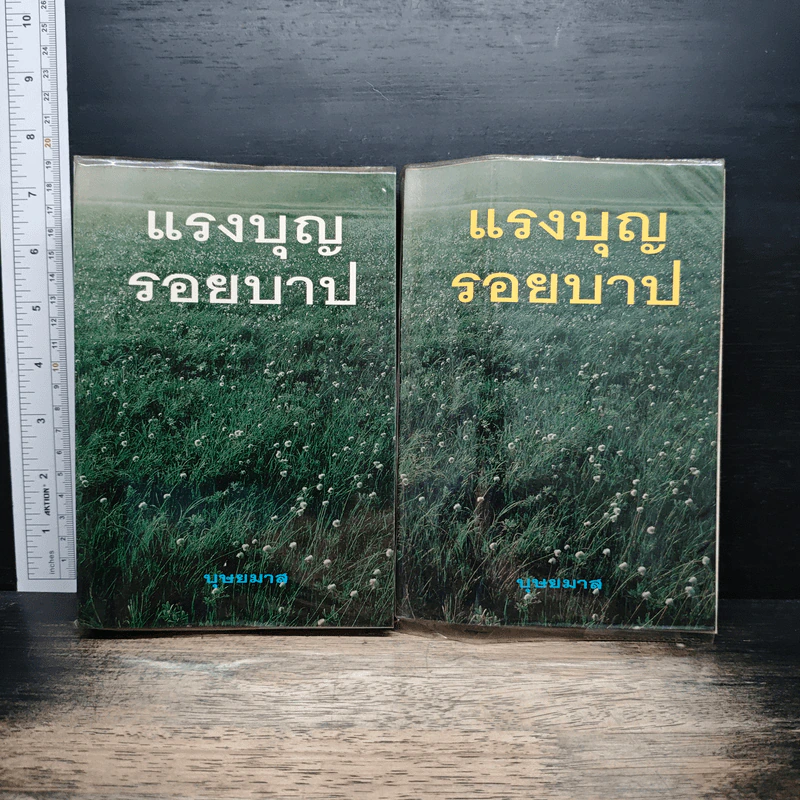 แรงบุญรอยบาป 2 เล่มจบ - บุษยมาส รูปที่ 1
