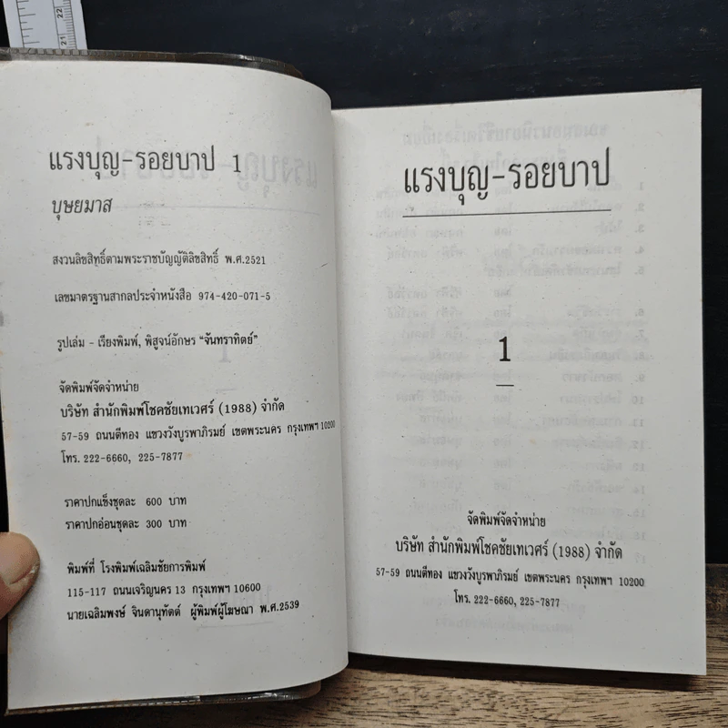 แรงบุญรอยบาป 2 เล่มจบ - บุษยมาส รูปที่ 6