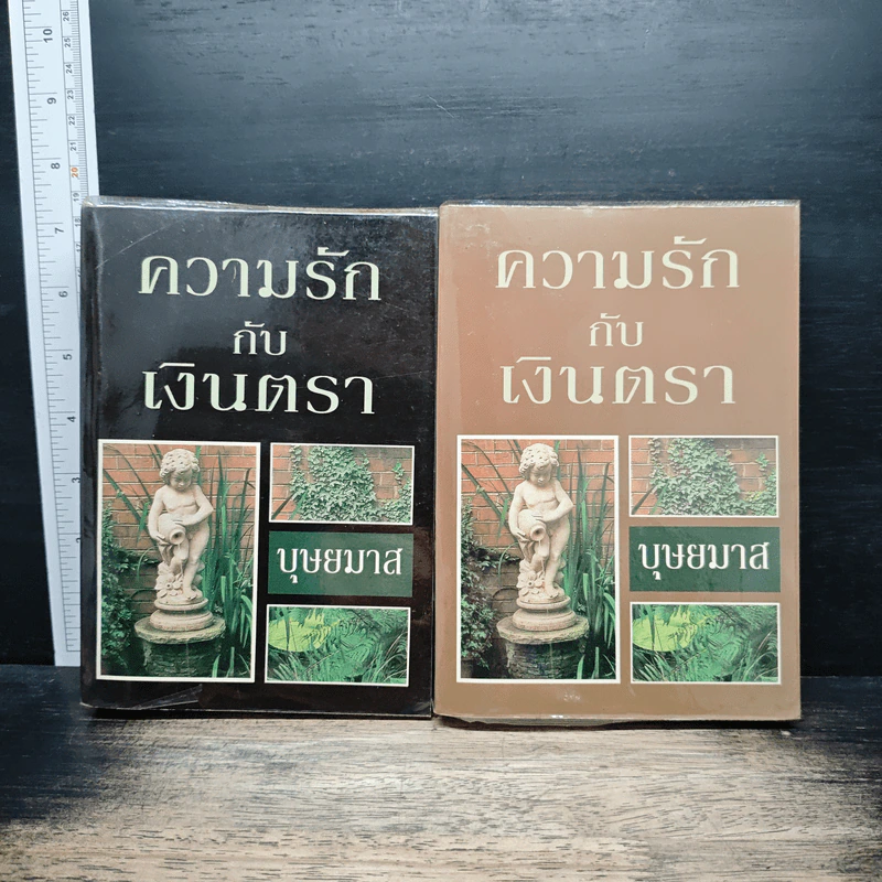 ความรักกับเงินตรา 2 เล่มจบ - บุษยมาส รูปที่ 1