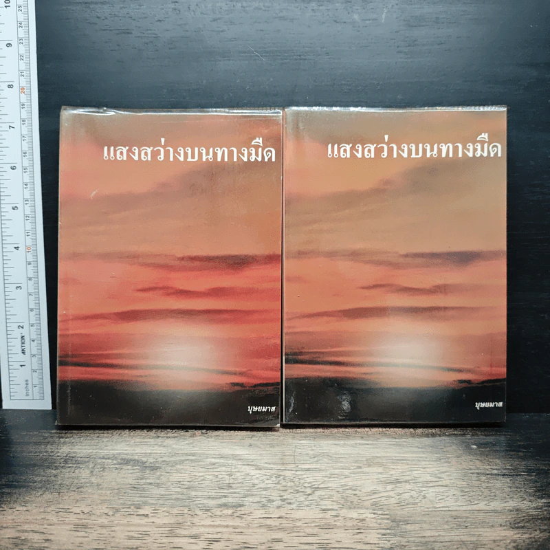 แสงสว่างบนทางมืด 2 เล่มจบ - บุษยมาส รูปที่ 1