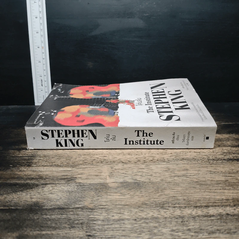 โค่นล้ม The Institute - Stephen King, วิกันดา จันทร์ทองสุข รูปที่ 3