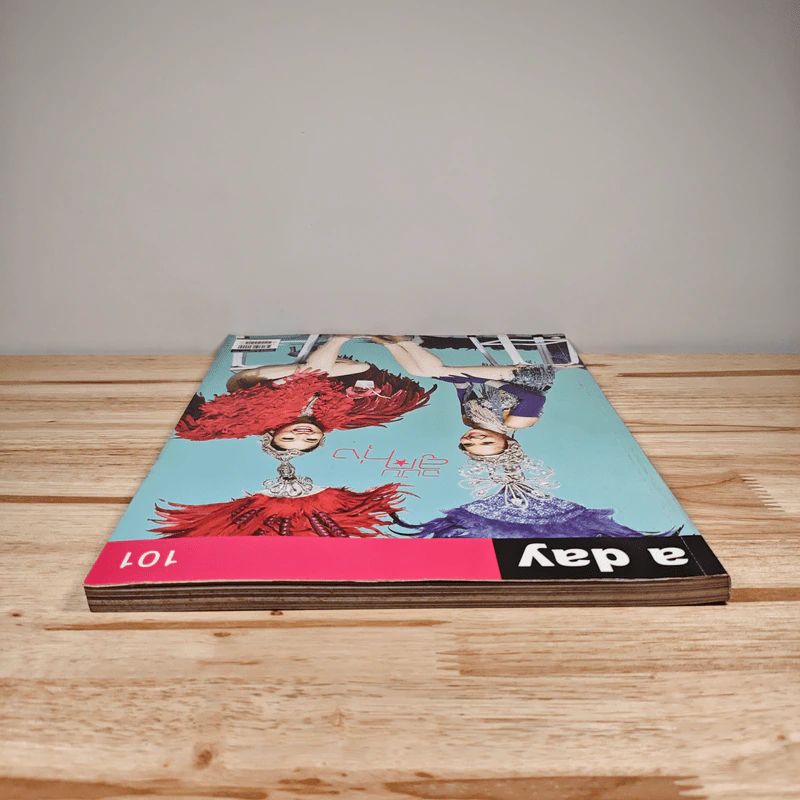 a day 101 ฉบับลูกทุ่ง รูปที่ 4