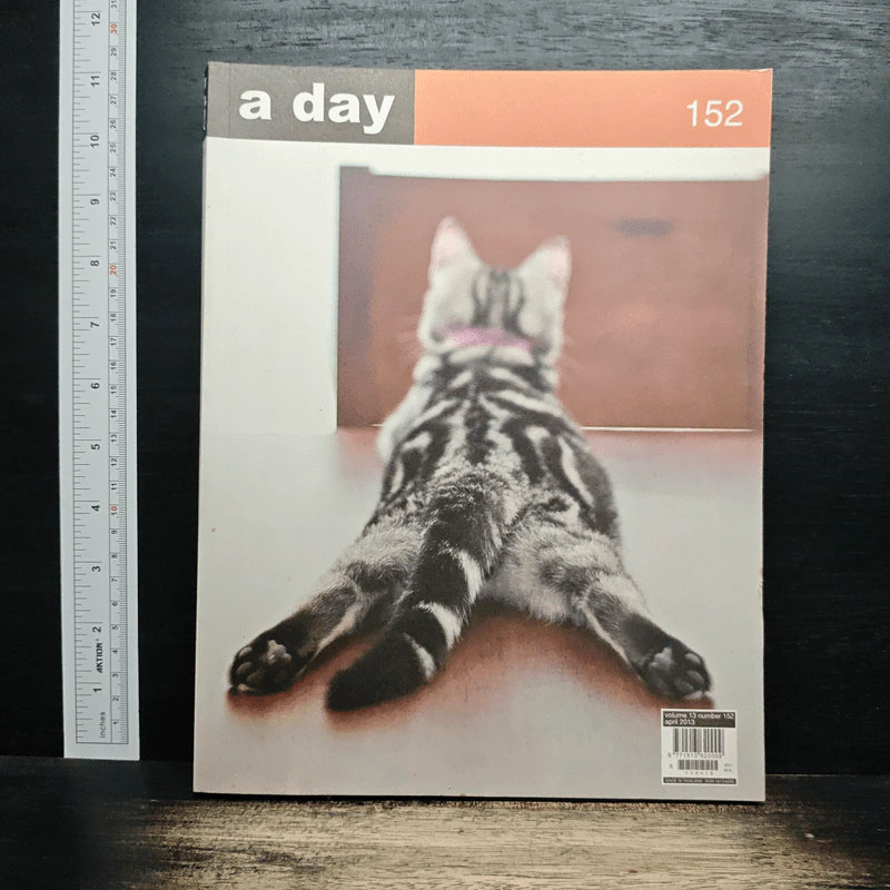 a day 152 แมว รูปที่ 1