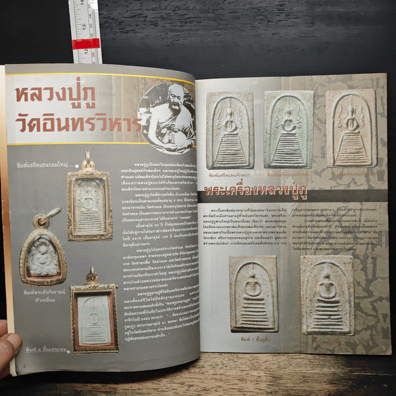 หลวงปู่ภู วัดอินทร์ รูปที่ 6
