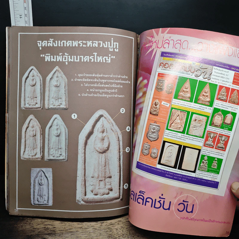 หลวงปู่ภู วัดอินทร์ รูปที่ 8