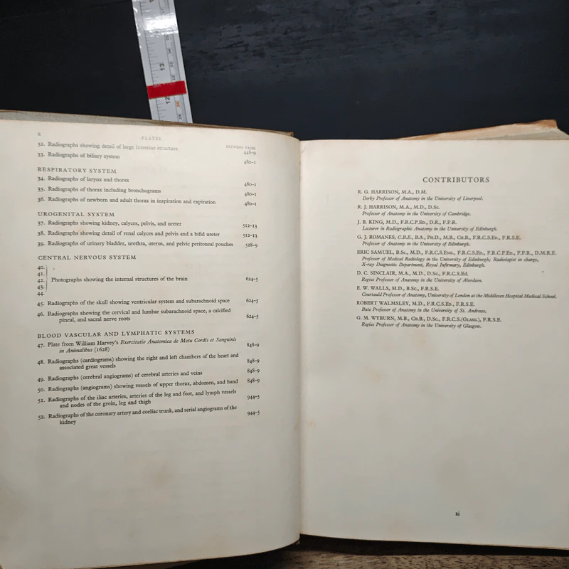 Cunningham's Textbook of Anatomy - G. J. Romanes รูปที่ 8