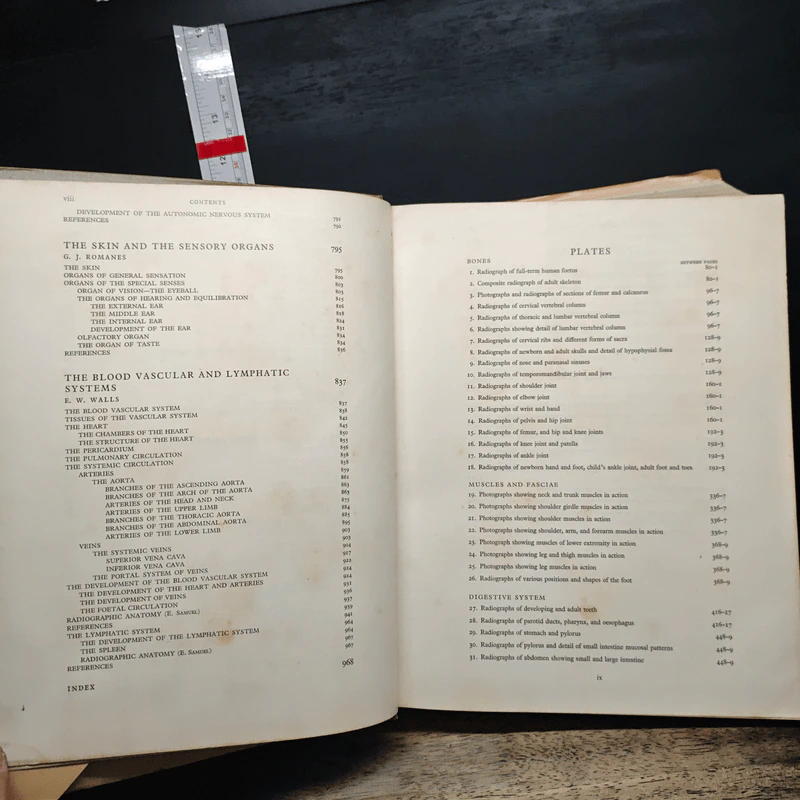 Cunningham's Textbook of Anatomy - G. J. Romanes รูปที่ 7