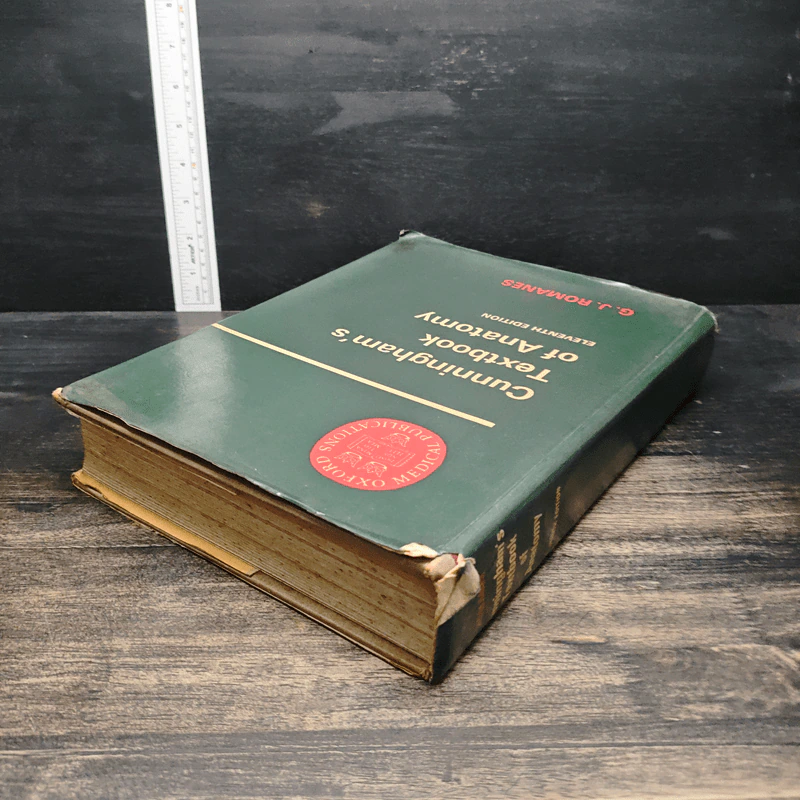 Cunningham's Textbook of Anatomy - G. J. Romanes รูปที่ 5