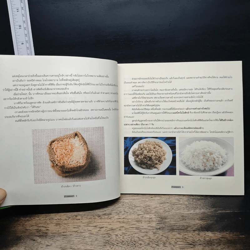 ข้าวของเรา - สิทรา พรรณสมบูรณ์ รูปที่ 9