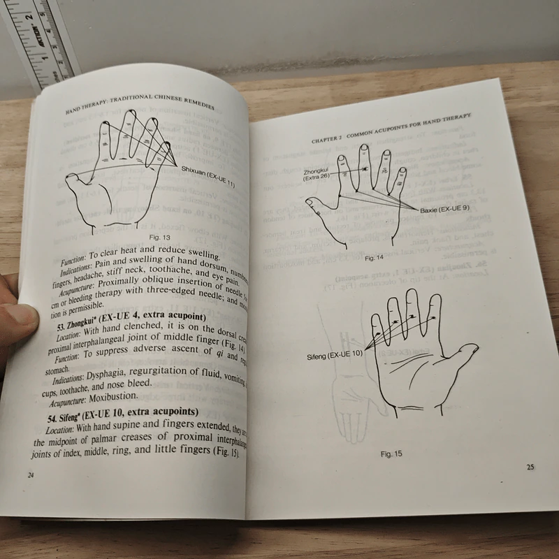 Hand Therapy - Wang Sheng, Wang Weidong รูปที่ 9