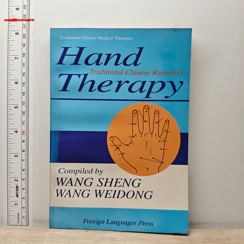 Hand Therapy - Wang Sheng, Wang Weidong รูปที่ 1