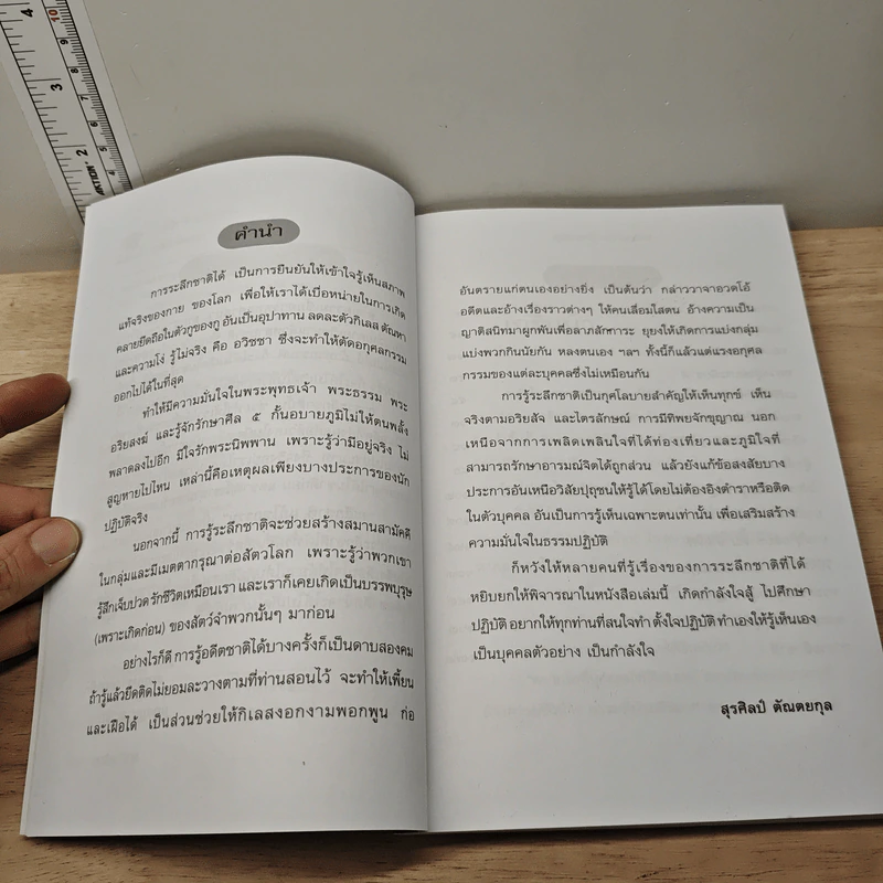 ระลึกชาติ แก้ไขกรรม - สุรศิลป์ ตัณตยกุล รูปที่ 7